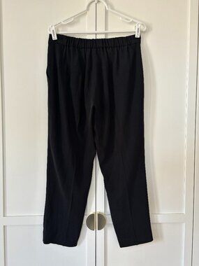 Aritzia Babaton Conan cropped pants (size 10)